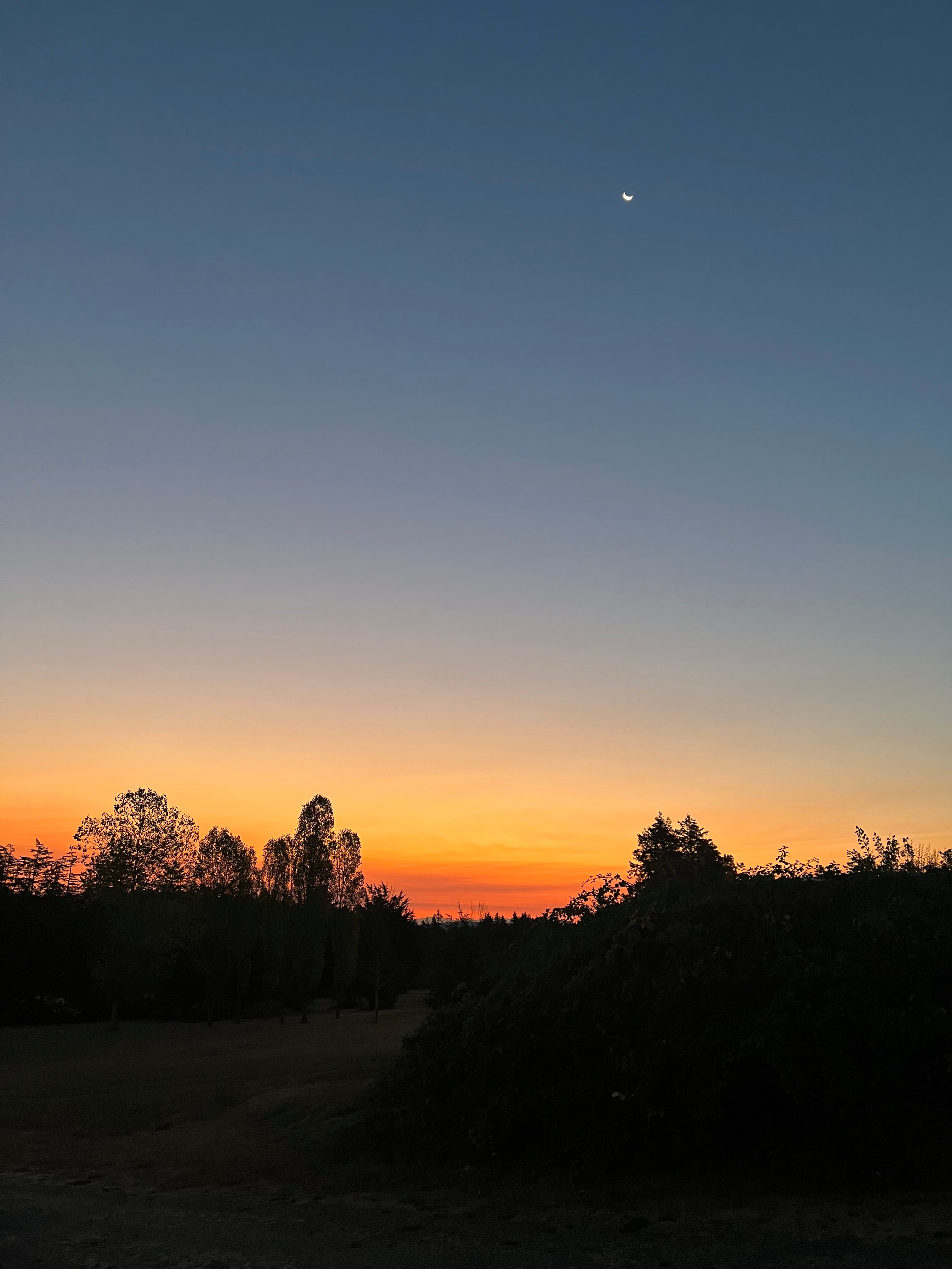 Shifting of seasons, of light, of pace.