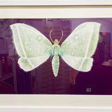 MOTH