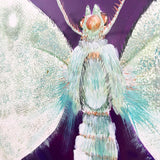 MOTH