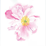 Peony