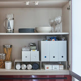 Riser Shelf [Set of 2] - Steel