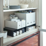 Riser Shelf [Set of 2] - Steel