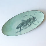 Insect Dish