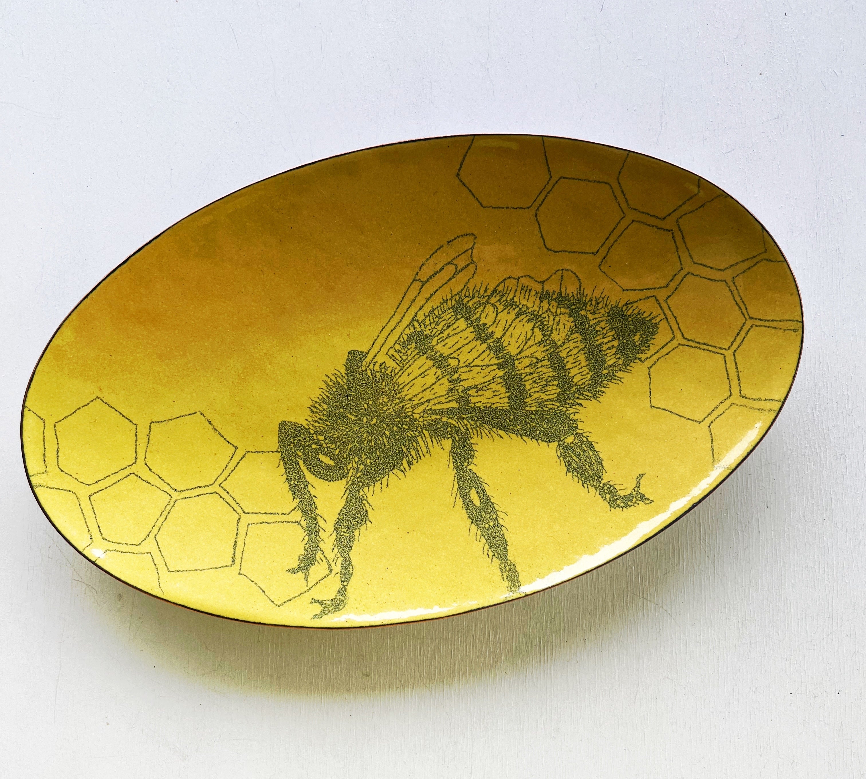 Insect Dish