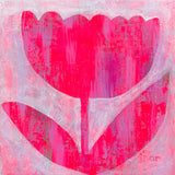 Pink Tulip