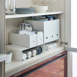 Riser Shelf [Set of 2] - Steel